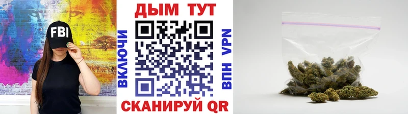 Купить  Казань  МАРИХУАНА планчик 